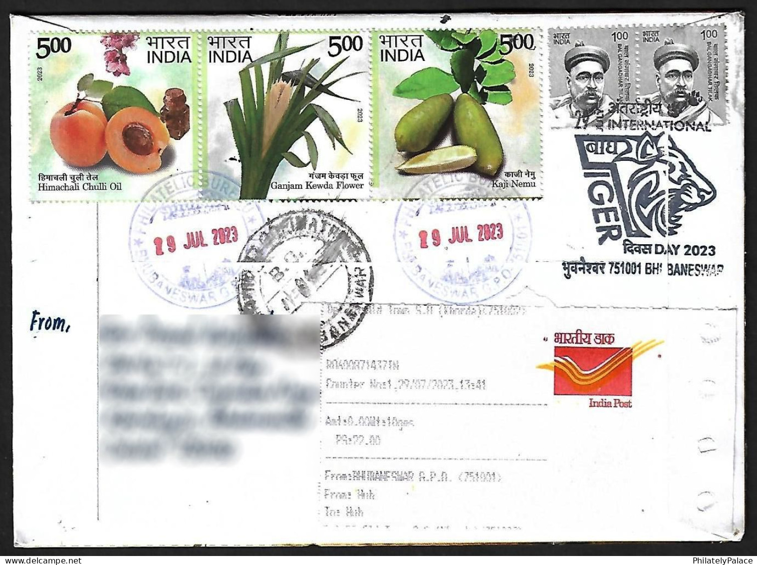 India 2023 International Tiger Day, Endangered, Animal, Panthera Tigris, Registered Cover (**) Inde Indien - Otros & Sin Clasificación