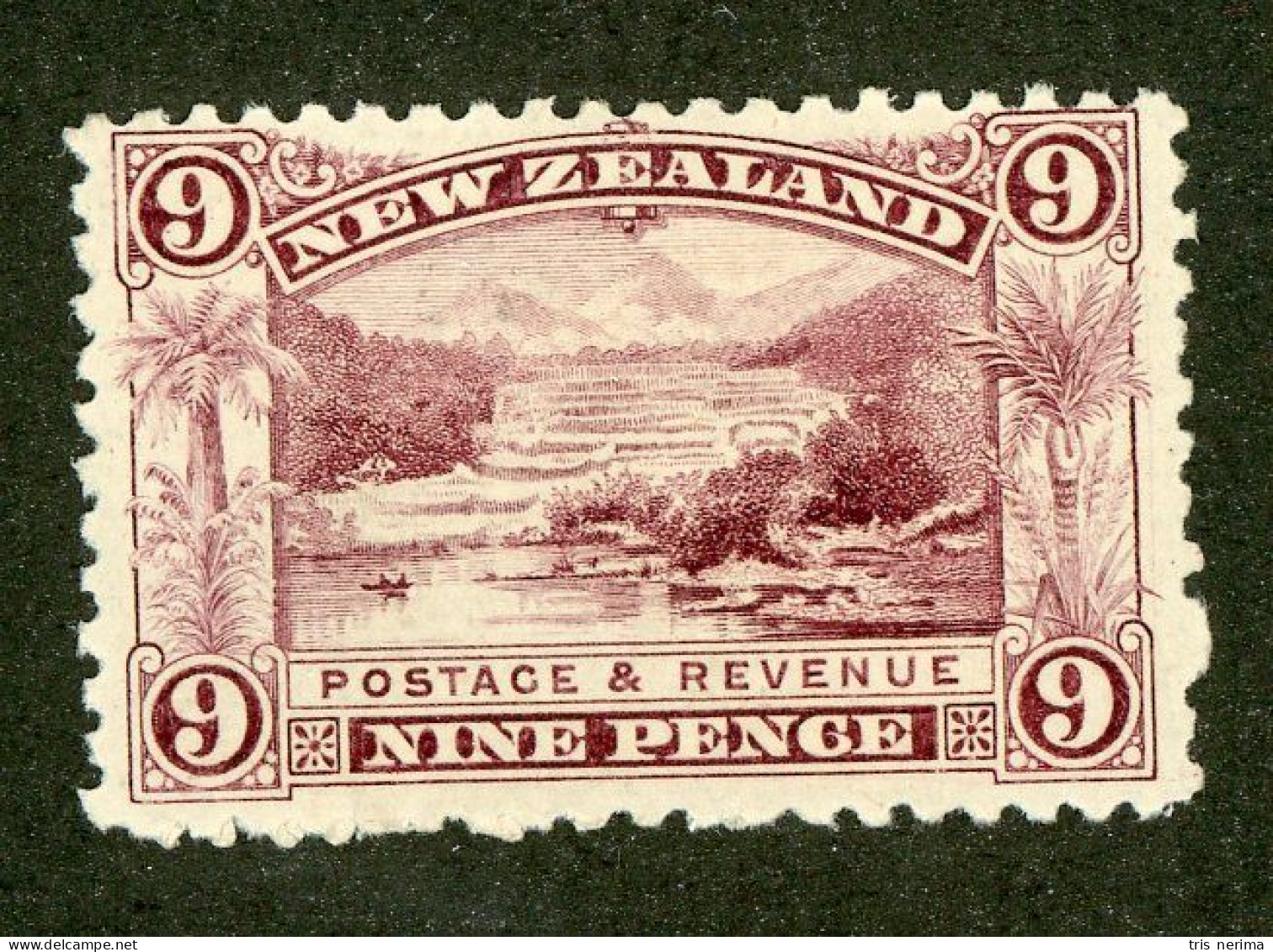 346 New Zealand 1898 Scott #80 M* (Lower Bids 20% Off) - Ongebruikt