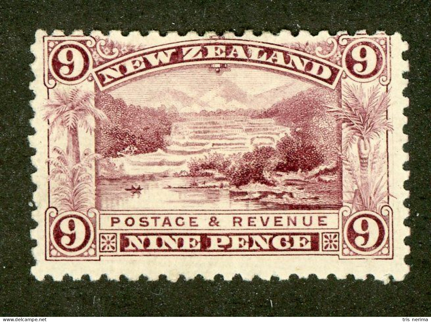 347 New Zealand 1898 Scott #80 M* (Lower Bids 20% Off) - Neufs