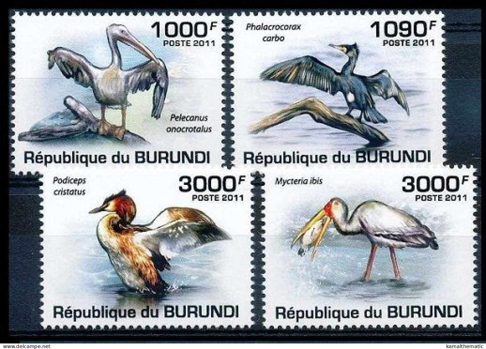 Water Birds, Pelican, Yellow Billed Stork, Grebe, Burundi 2011 MNH 4v - Pelícanos