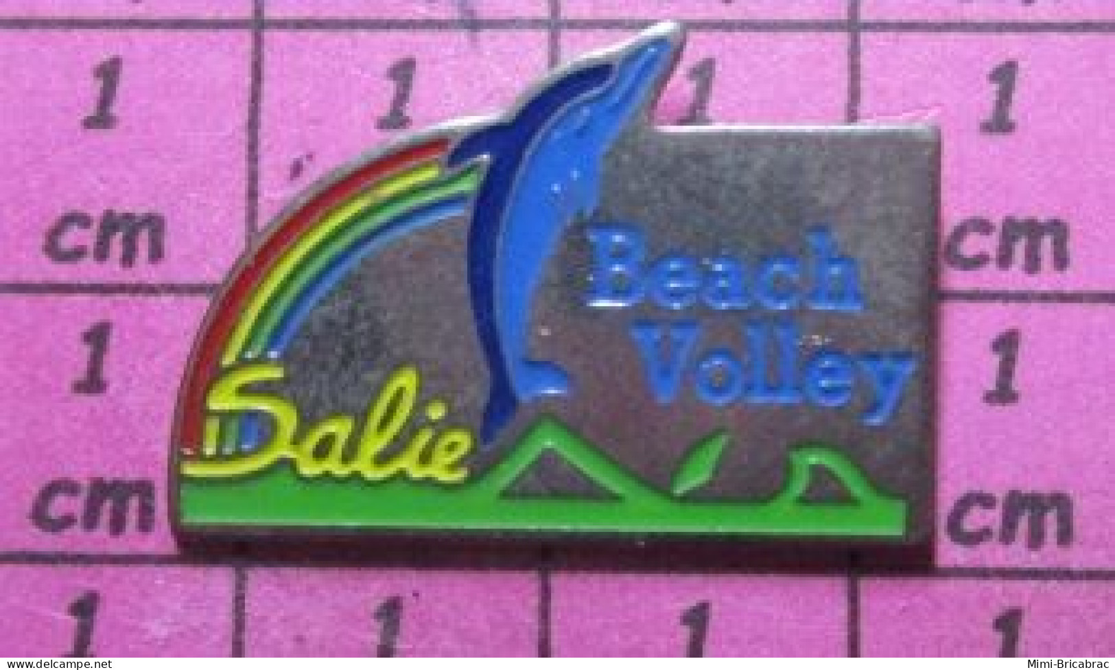 1122 Pin's Pins / Beau Et Rare / SPORTS / SALIE BEACH VOLLEY DAUPHIN BLEU - Pallavolo