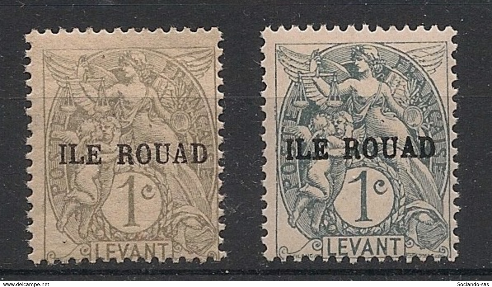 ROUAD - 1916-20 - N°Yv. 4 + 4a - Type Blanc 1c - Gris Et Ardoise - Neuf Luxe ** / MNH / Postfrisch - Unused Stamps