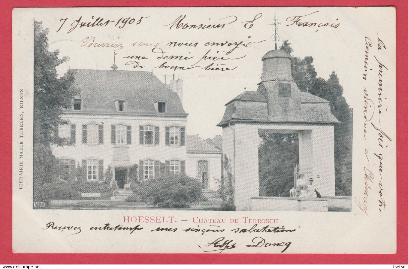 Hoeselt - Chateau De Terbosch - 1905  ( Verso Zien ) - Hoeselt