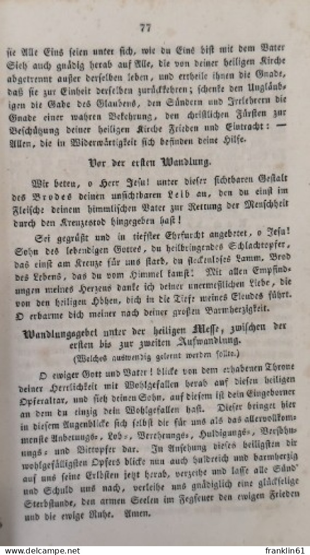 Jesus Christus, Der Wahre Lebendige In Die Ewigen Lichtwohungen Führende Leuchtstern. - Christentum