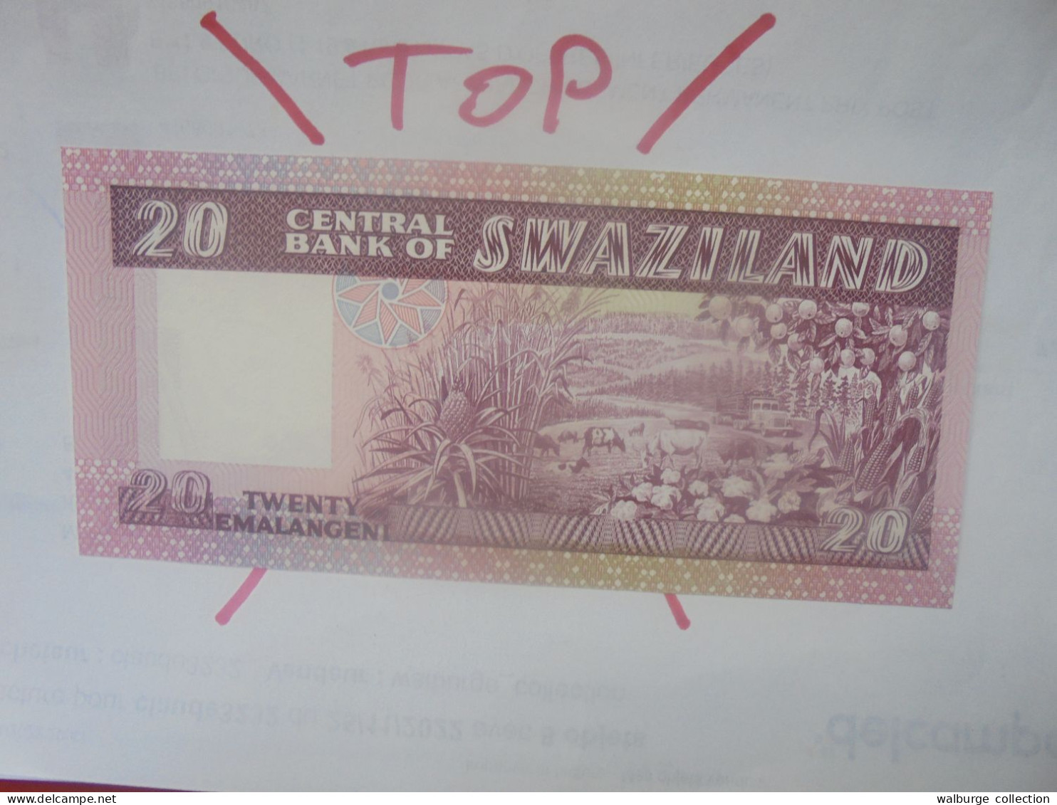 SWAZILAND 20 EMALANGENI 1985 Signature N°4 Neuf (B.30) - Swaziland