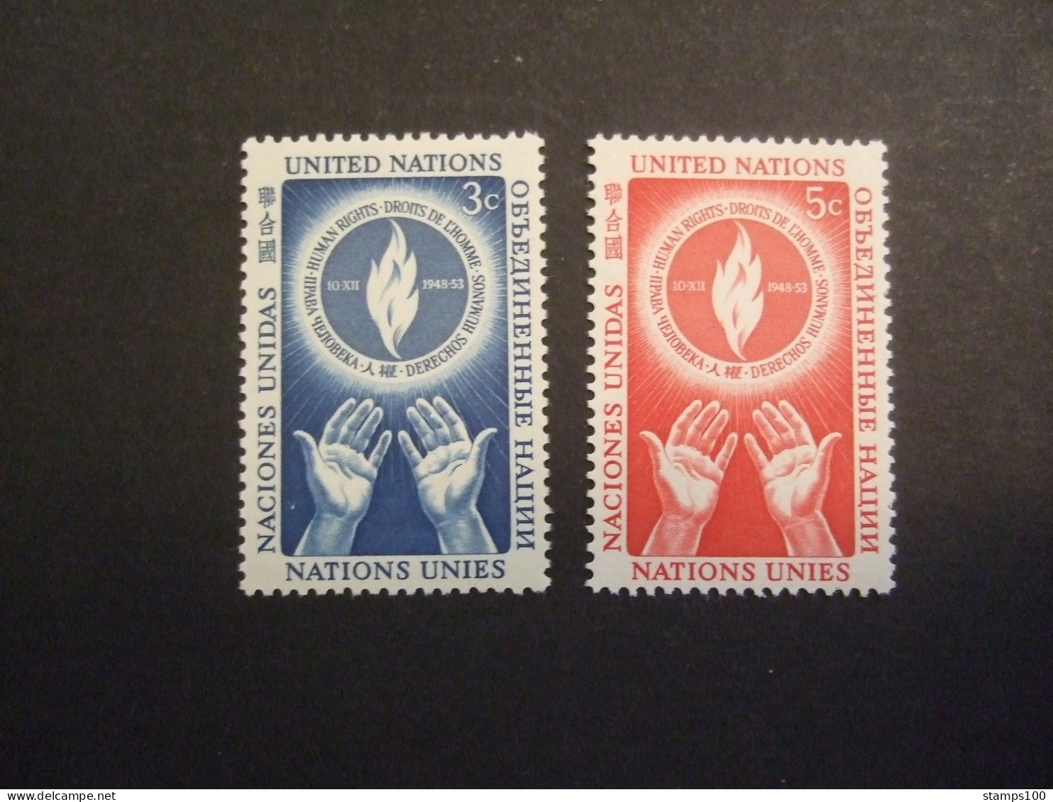 UNITED NATIONS N.Y. 21/22  MNH**. (V03-TVN) - Unused Stamps