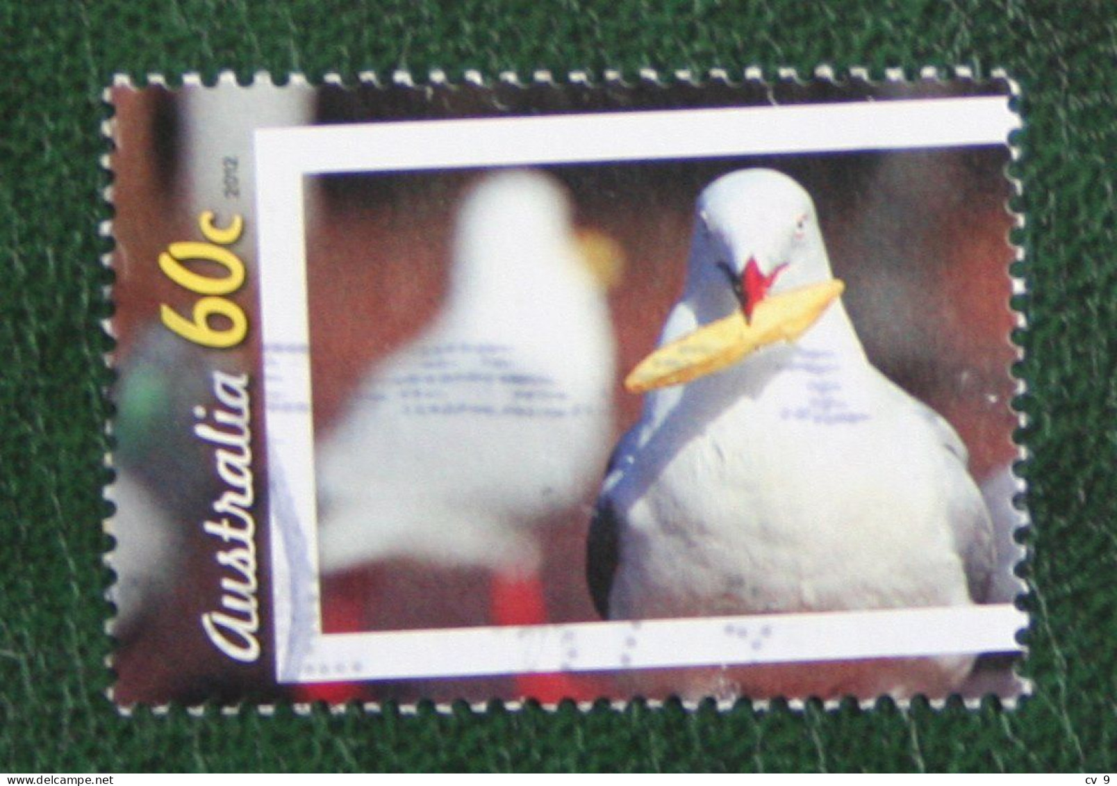 Photo Competition Contest Bird Vogel  Seagull 2012 Mi 3778 Y&T - Used Gebruikt Oblitere Australia Australien Australie - Used Stamps