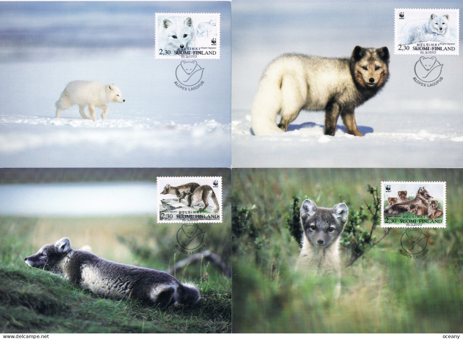 Finlande - WWF : Renard Arctique (Alopex Lagopus) CM 1166/1169 (année 1993) - Maximum Cards & Covers