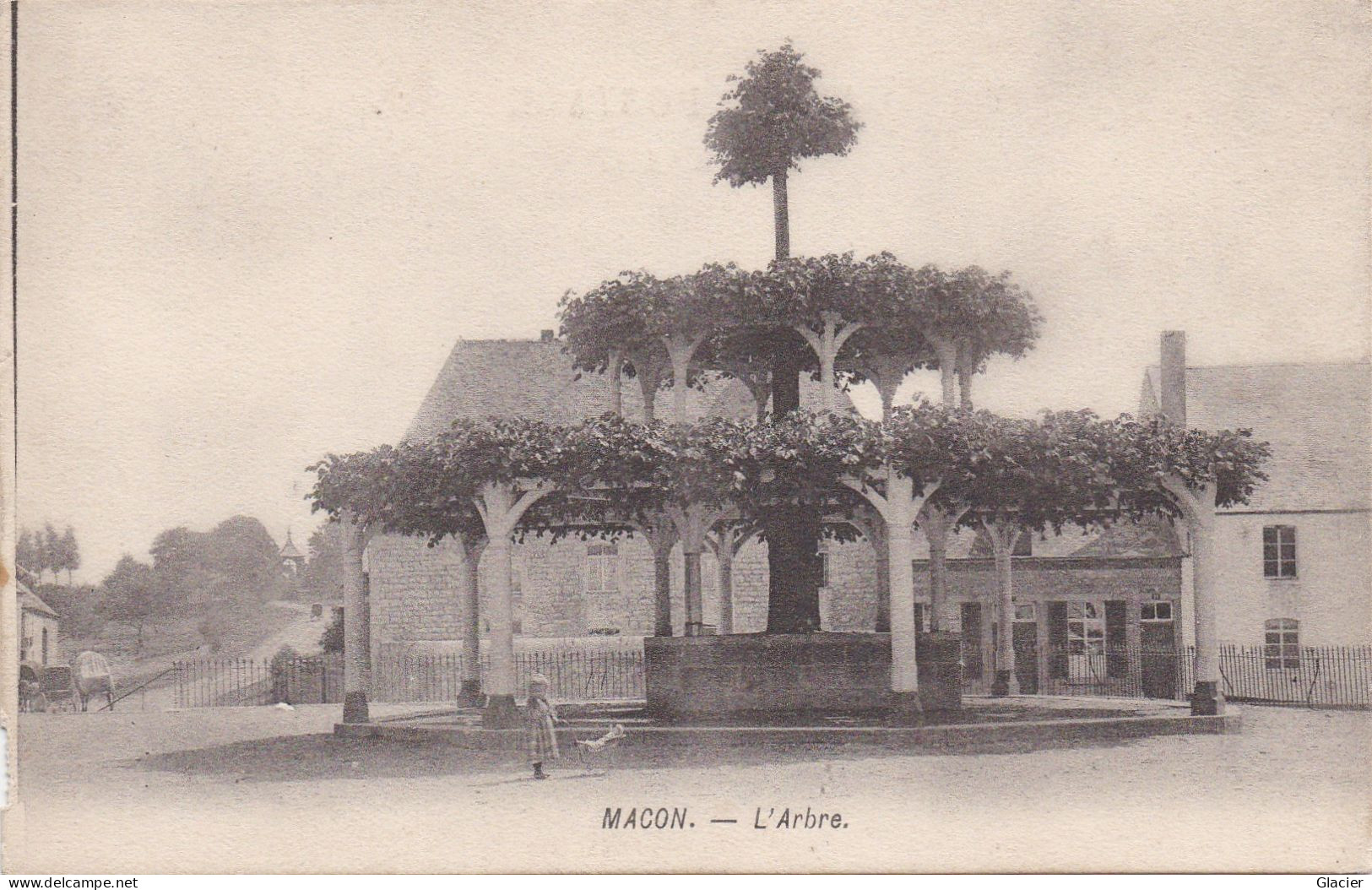 Macon - Momignies - L' Arbre - Momignies