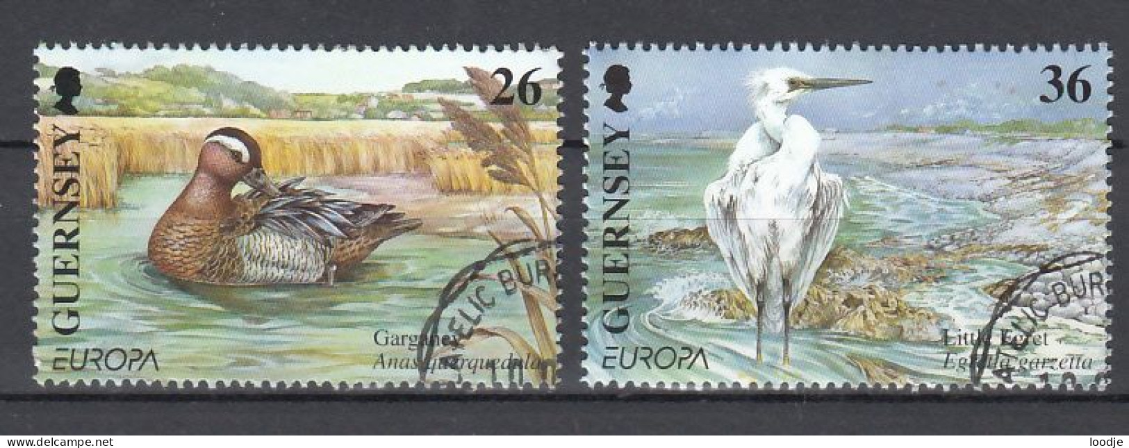 Guernsey  Europa Cept 2001 Gestempeld - 2001