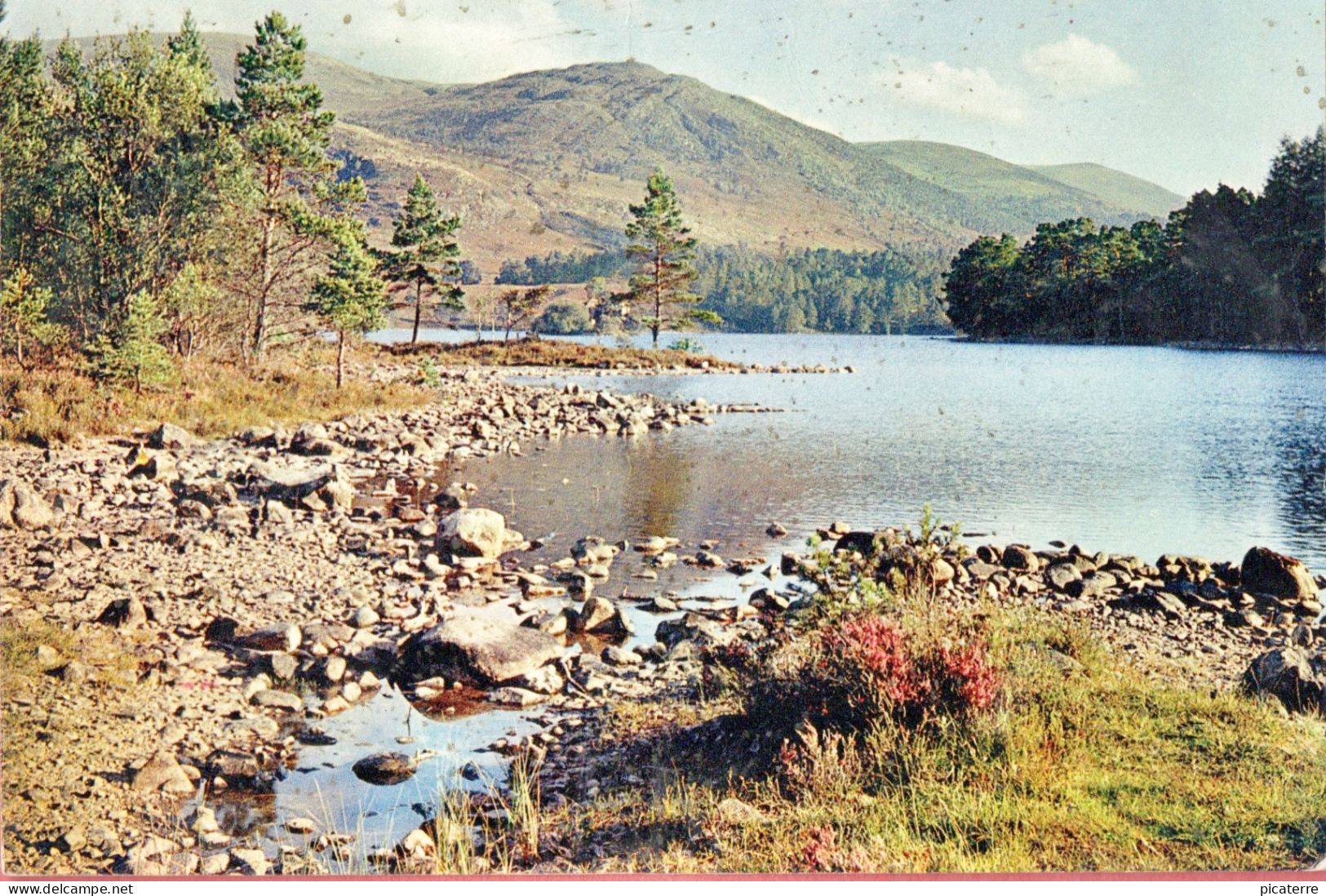 Loch An Eilean 1962- A Small Pine-fringed Loch In The Forest Of Rothiermurchus - J.A.Dixon 3573 - Inverness-shire