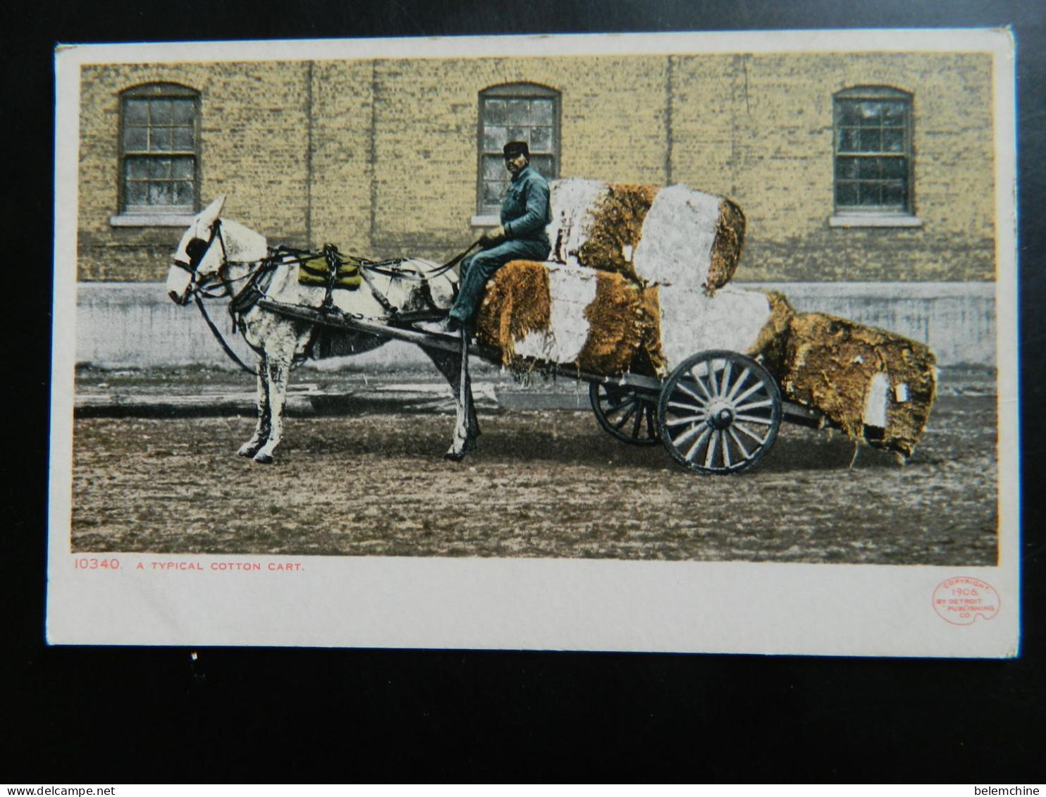 NEW ORLEANS               A TYPICAL COTTON CART            ATTELAGES DE CHEVAUX - New Orleans