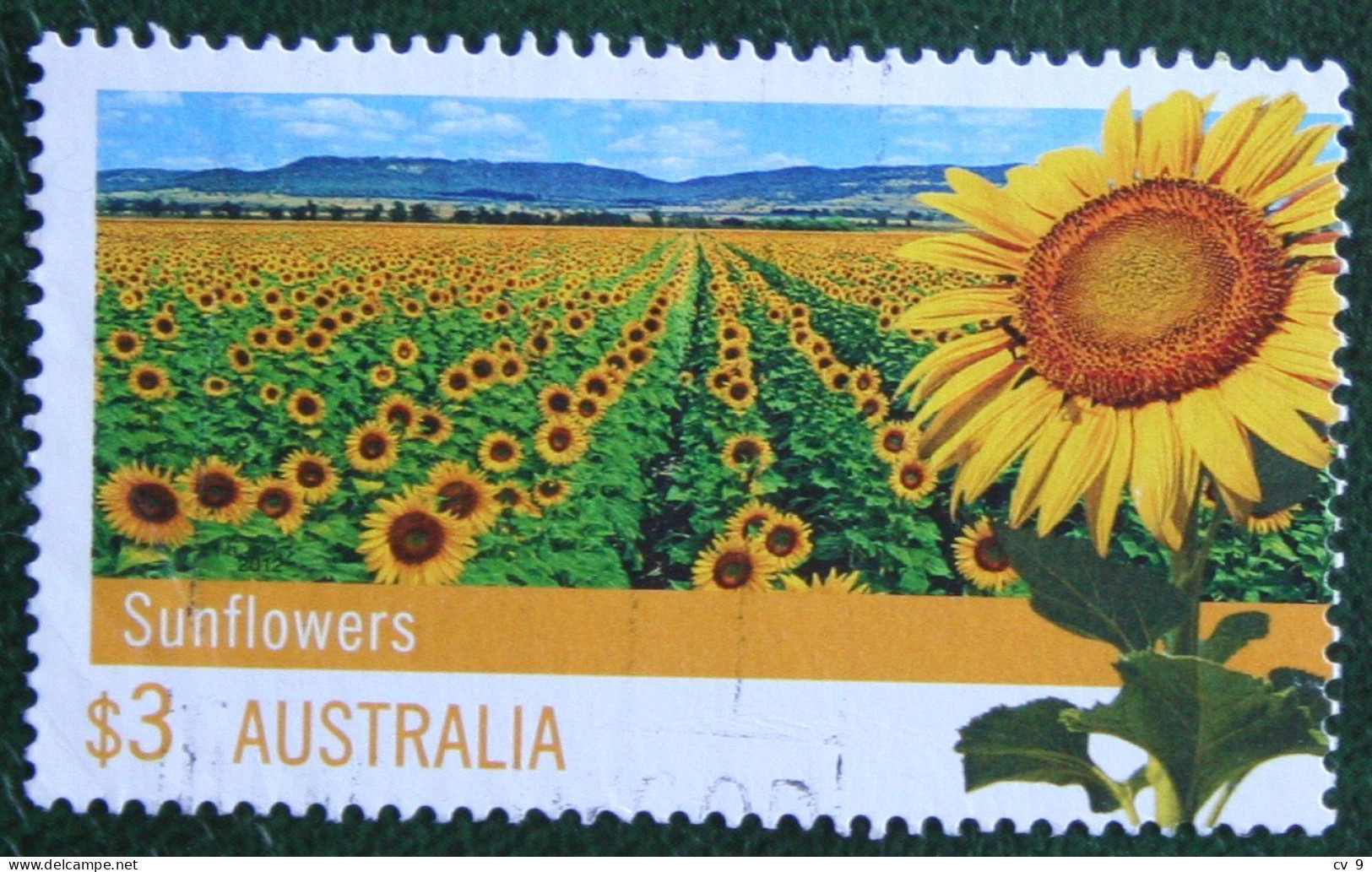 Agriculture Sunflower 2012 Mi 3715 Y&T - Used Gebruikt Oblitere Australia Australien Australie - Used Stamps