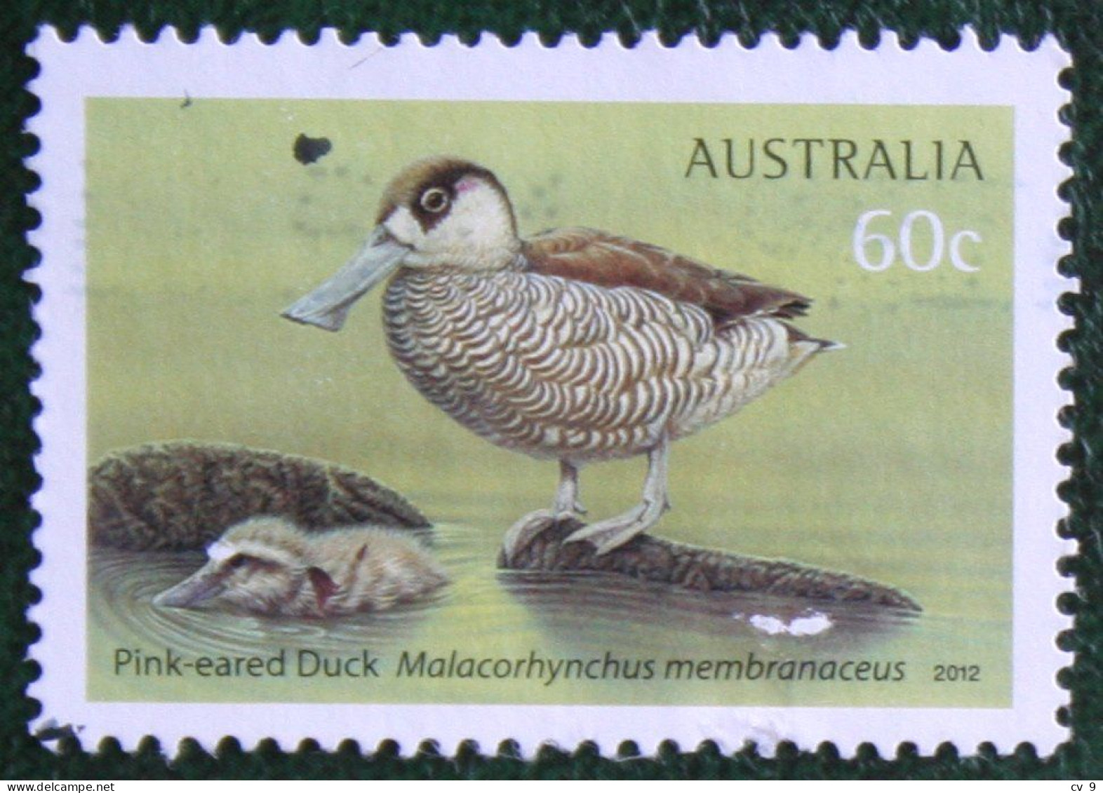 Birds Bird Vogel Oiseau Duck Eend 2012 Mi 3705 Y&T - Used Gebruikt Oblitere Australia Australien Australie - Used Stamps