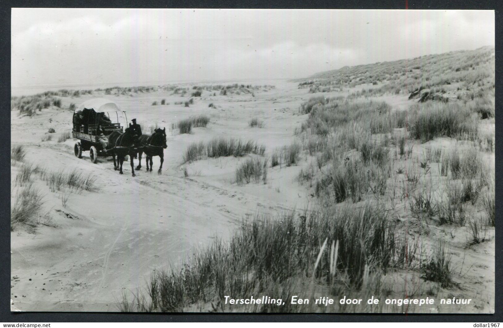 Terschelling , Een Ritje Door De Ongerepte Natuur -   Used : 29-7-1954 - 2 Scans For Originalscan !! - Terschelling