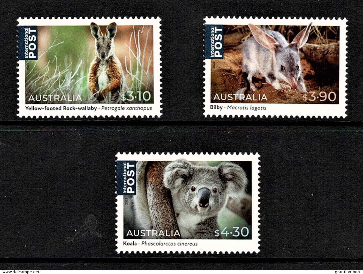 Australia 2023 Native Animals International  Set Of 3 MNH - Neufs