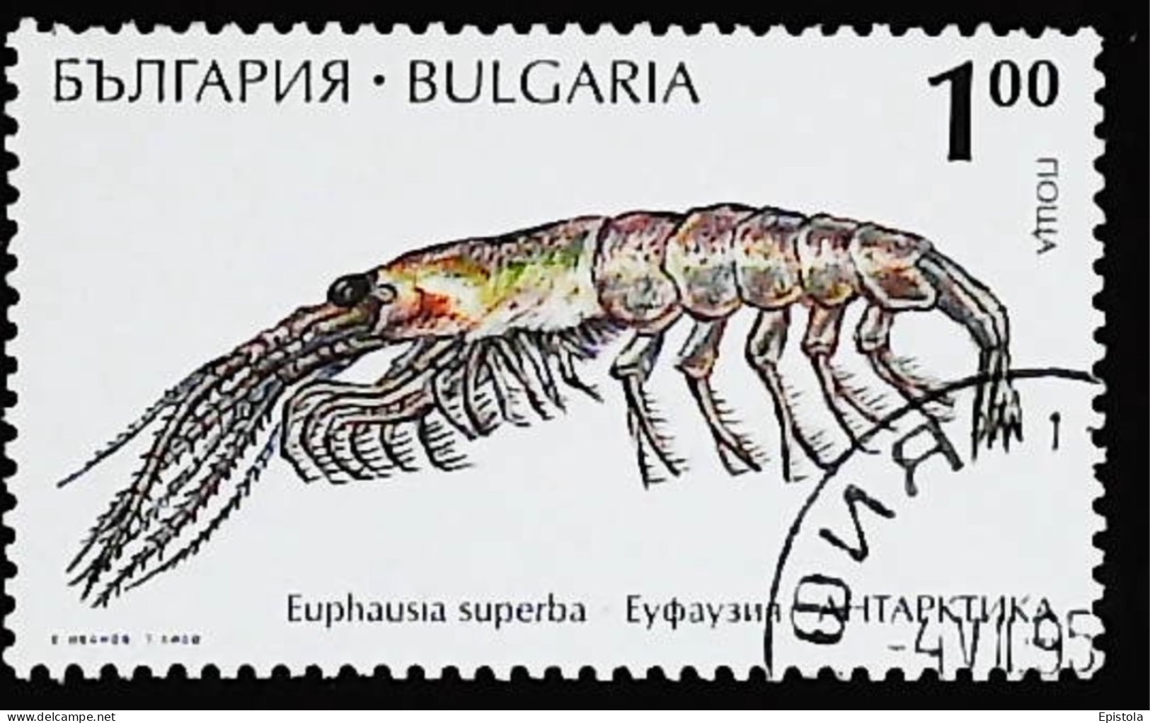 ►  BULGARIA  (Langoute Crustacé)   Lobster    1,00 1995 - Crustaceans