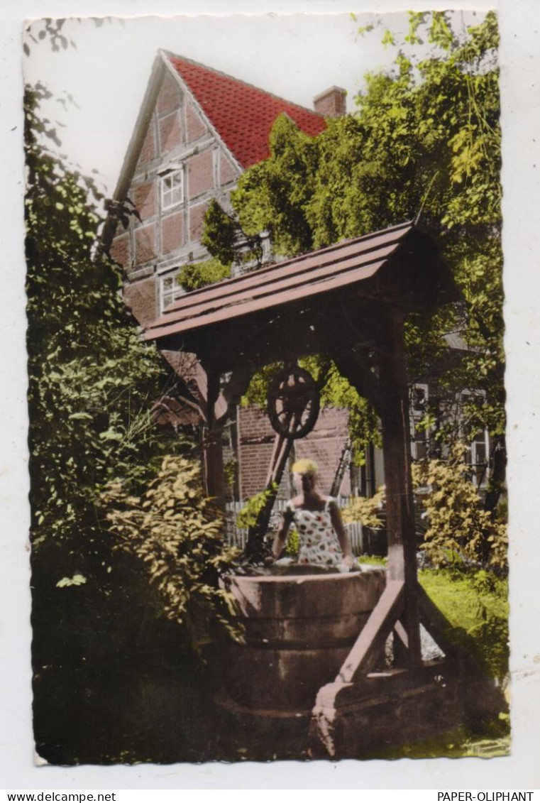 3030 WALSRODE, Klosterbrunnen, 1964 - Walsrode