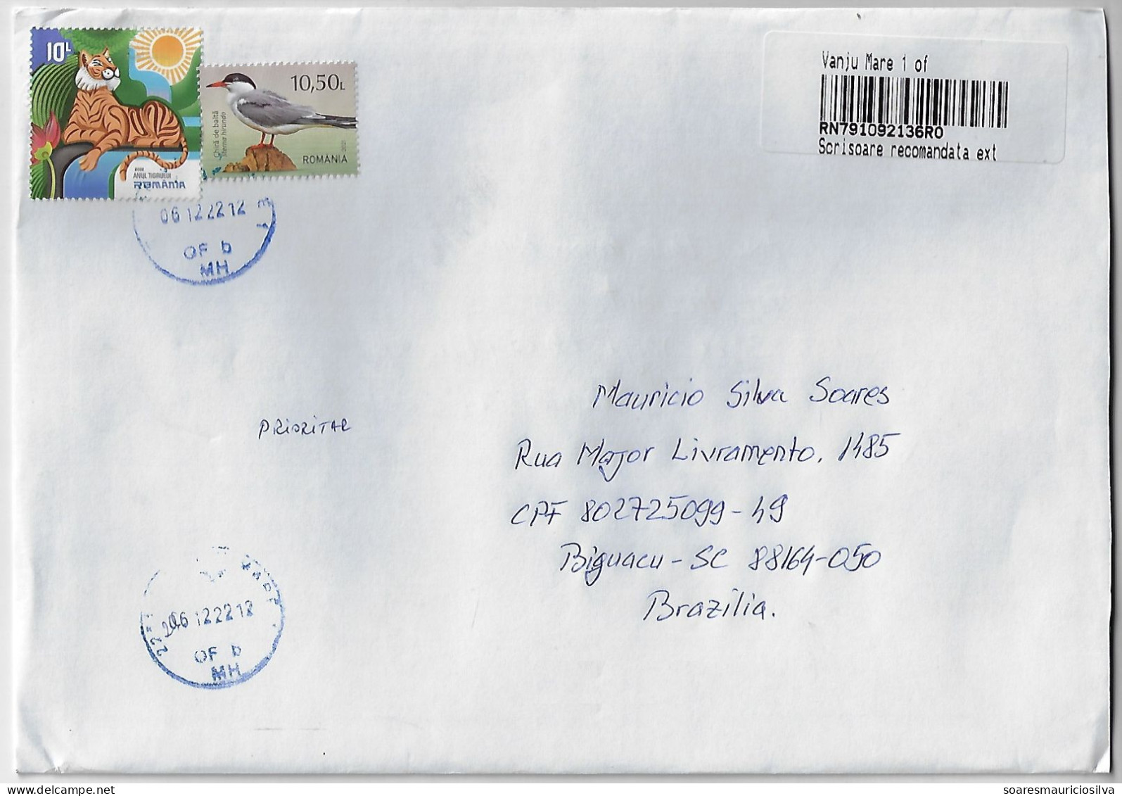 Romania 2022 Registered Cover Sent From Vânju Mare To Biguaçu Brazil 2 Stamp Fauna Animal Mammal Tiger Bird Common Tern - Briefe U. Dokumente