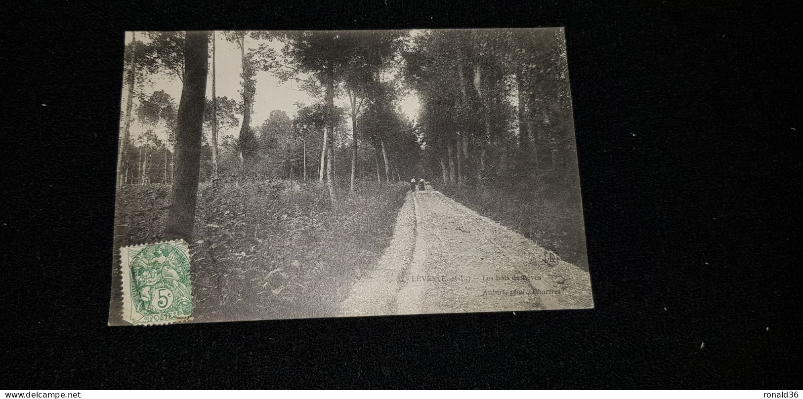 Cp 28 Eure Et Loir LEVES Les Bois De Lèves ( Forêt Allée Femmes ) - Lèves