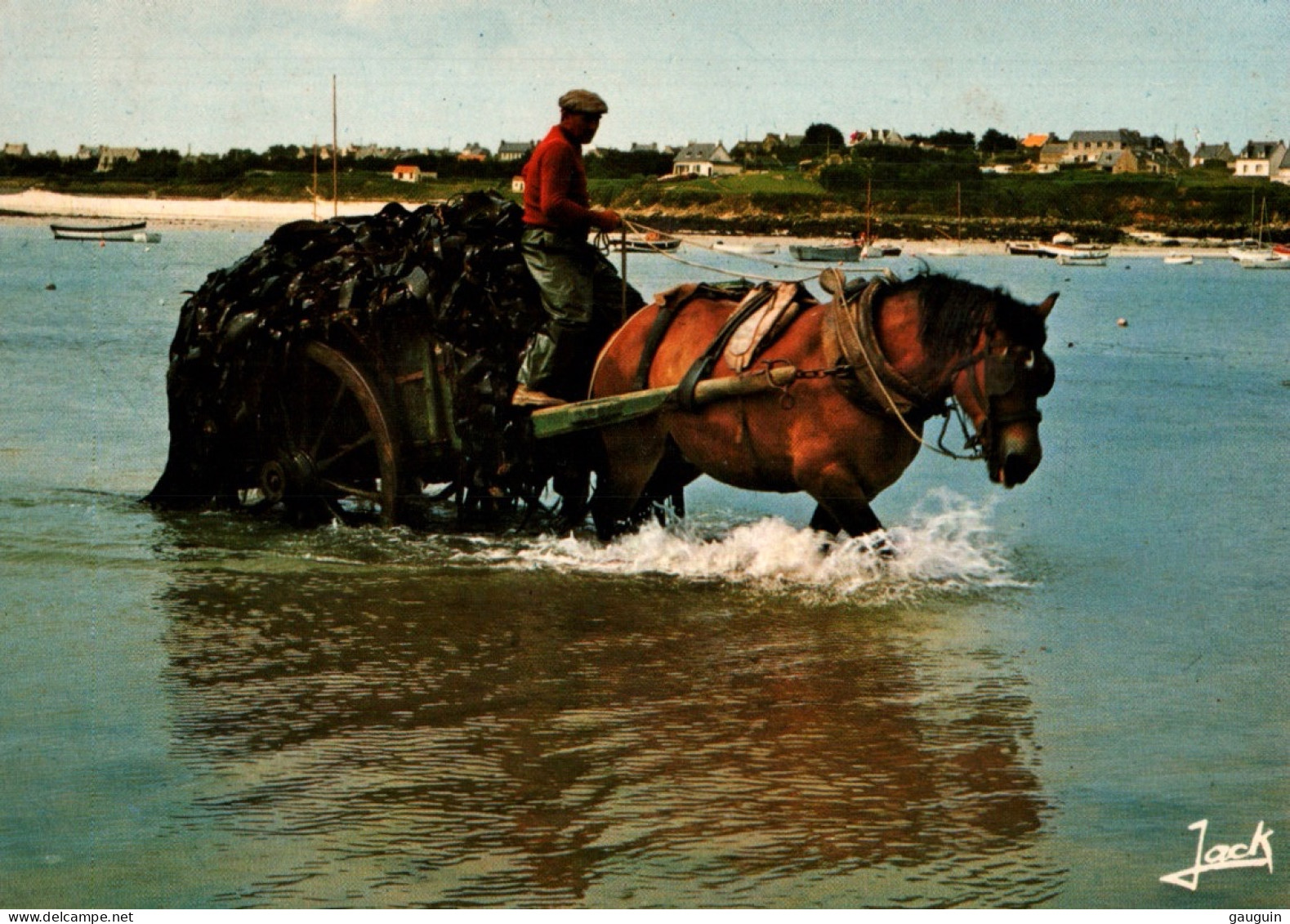 CPM - GOÉMONIER (Région Plouguerneau) - Charretée De Goémon (attelage De Cheval) - Edition Jack - Plouguerneau