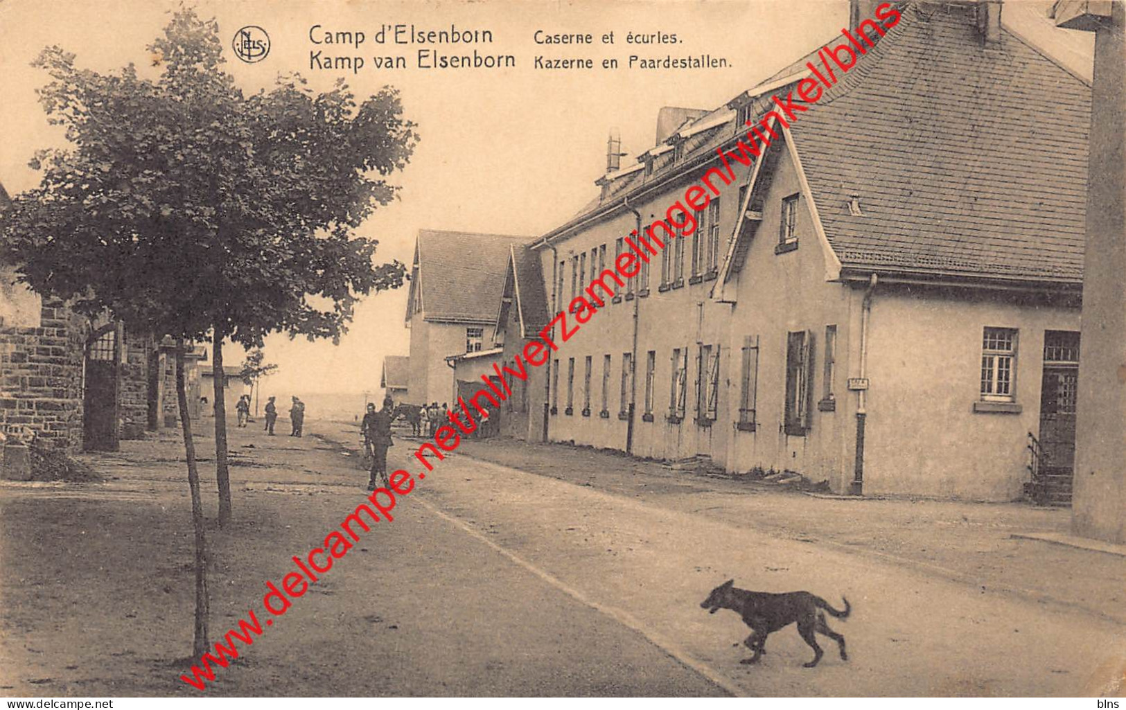 Kamp Van Elsenborn - Kazerne En Paardestallen - Elsenborn (Kamp) - Elsenborn (camp)