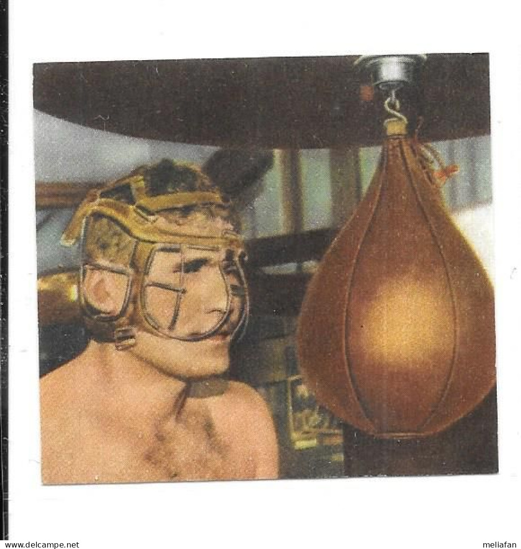 DZ22 - IMAGE FAMILIA - BOXE - PUNCHING BALL - Altri & Non Classificati