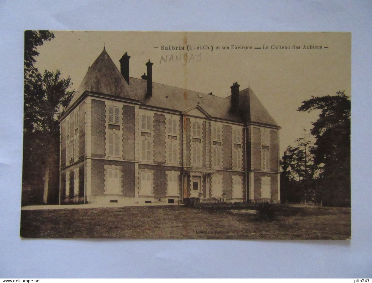 18 - CHER - NANCAY - Salbris Et Ses Environs - Le Château Des Aubiers - Nançay