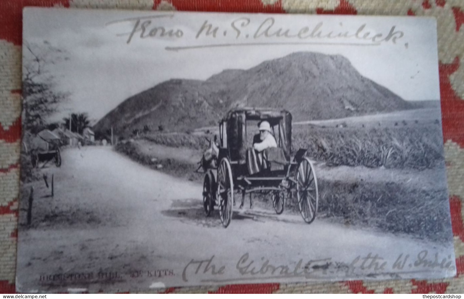 To Mrs Vansittart Road, Torbay Torquay St. Kitts Brimstone Hill - Un Attelage Unused Carriage - Saint-Christophe-et-Niévès