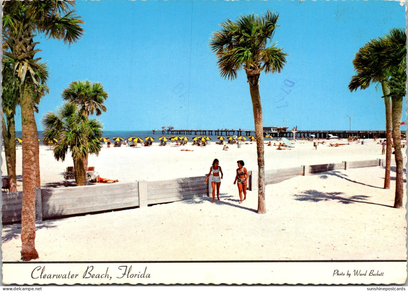 Florida Clearwater Beach White Sands  - Clearwater