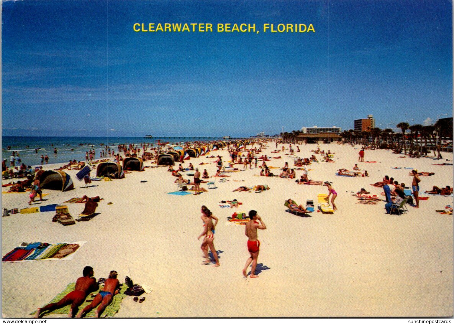 Florida Clearwater Beach White Sands And Sunbathers - Clearwater