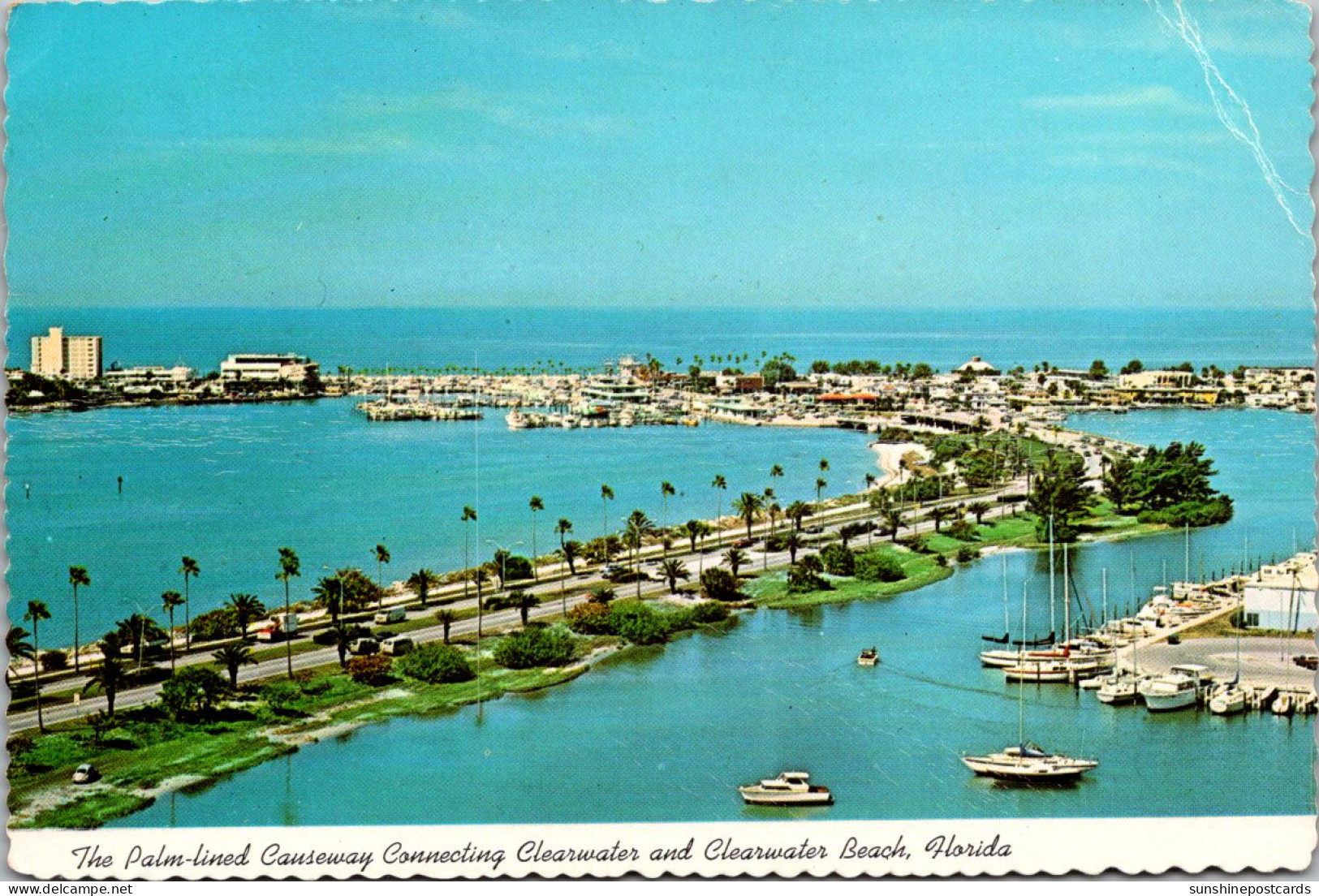 Florida Palm Lined Causeway Connecting Clearwater And Clearwater Beach  - Clearwater