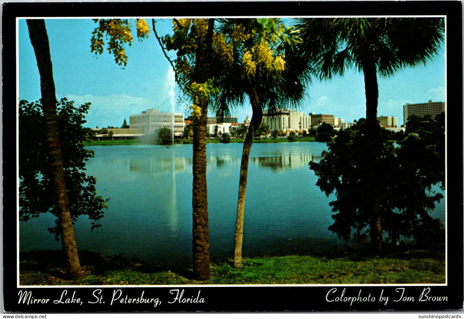 Florida St Petersburg Skyline Reflected From Mirror Lake - St Petersburg