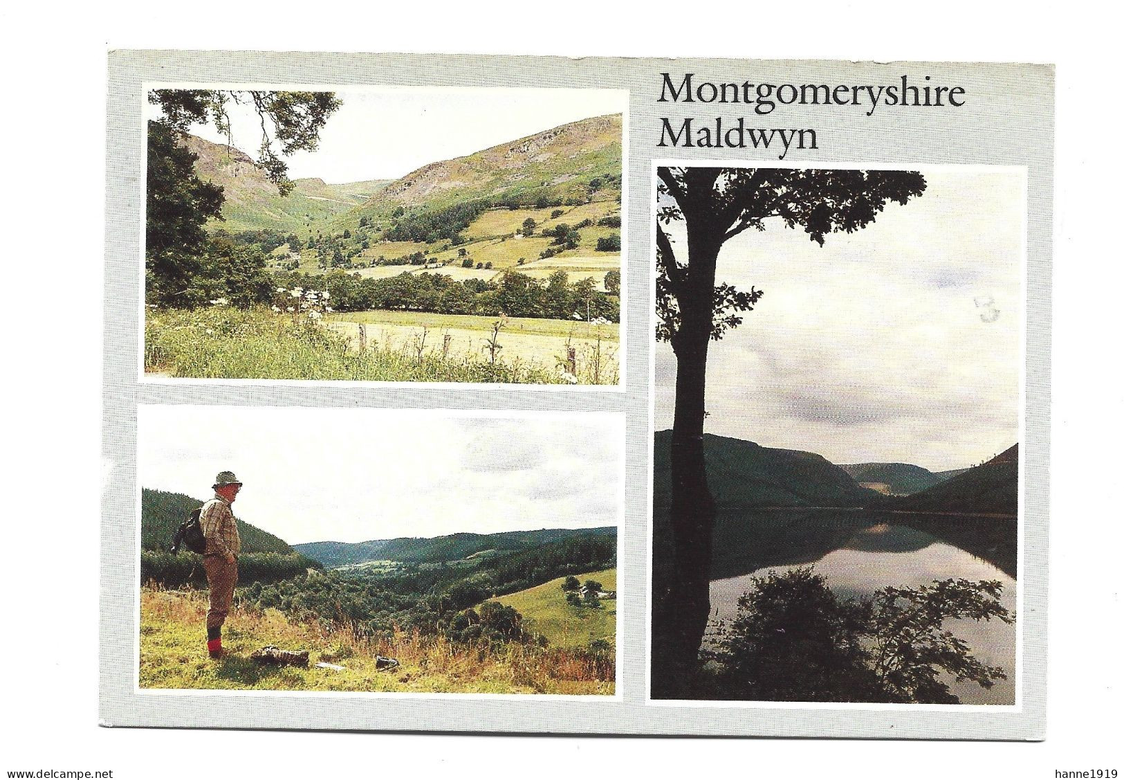 Wales Montgomeryshire Maldwyn Photo Card Htje - Montgomeryshire