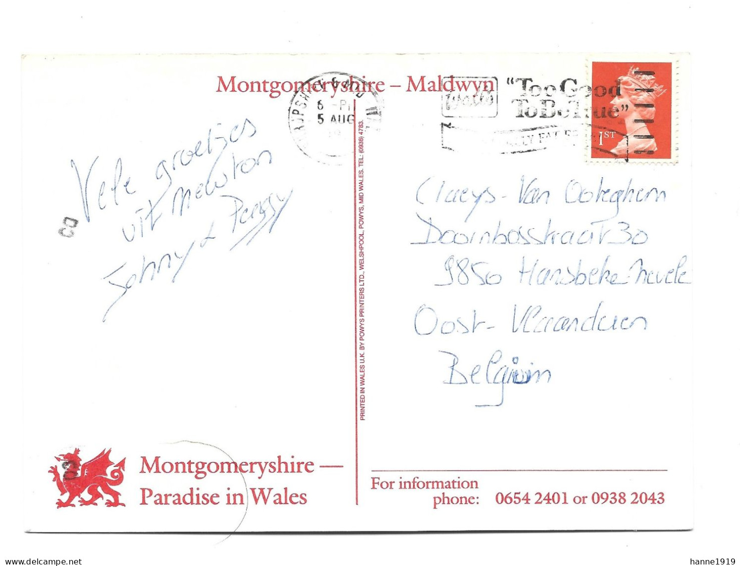 Wales Montgomeryshire Maldwyn Photo Card Htje - Montgomeryshire