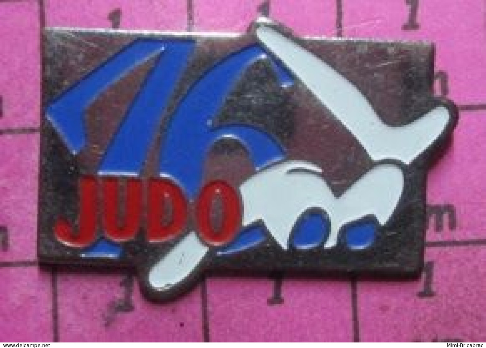 912A Pin's Pins / Beau Et Rare / SPORTS / JUDO 76 SEINE-MARITIME - Judo