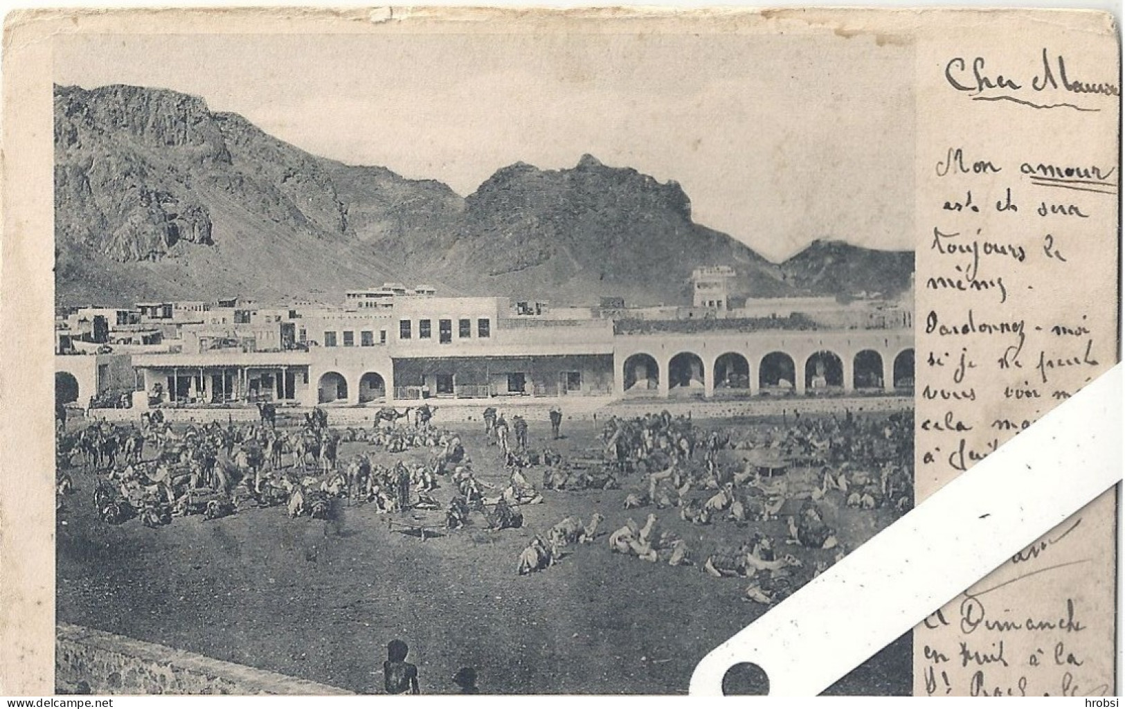 Yémen, Aden, Camel Market - Yémen