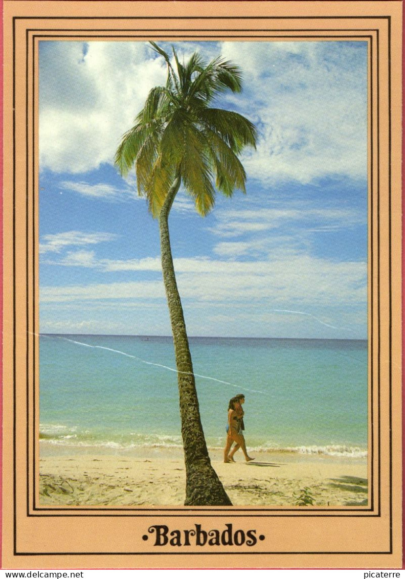 BARBADOS - Strolling Along A West Coast Beach- Photo Tony Lynch AG315-Ex Large Postcard 170mmx120mm - Barbades