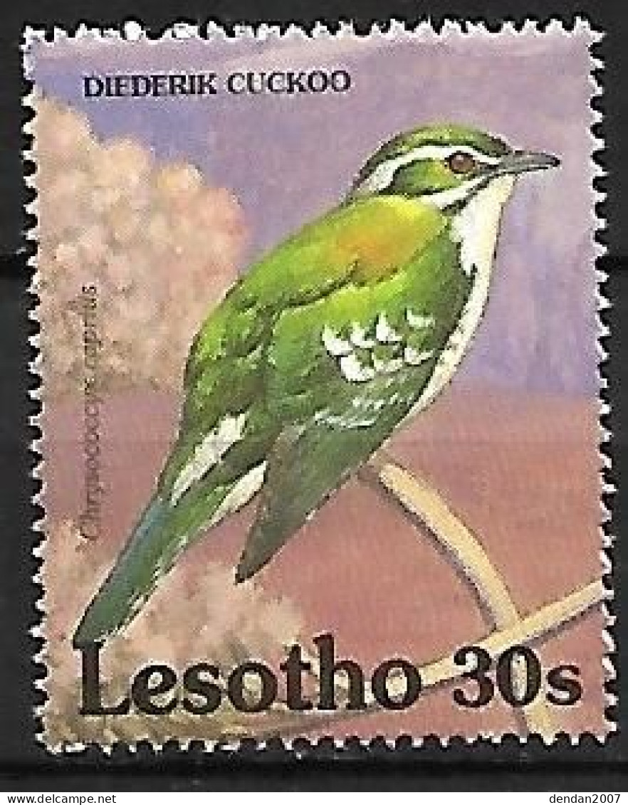 Upper Volta - MNH ** 1979 :    Diederik Cuckoo -   Chrysococcyx Caprius - Cuculi, Turaco