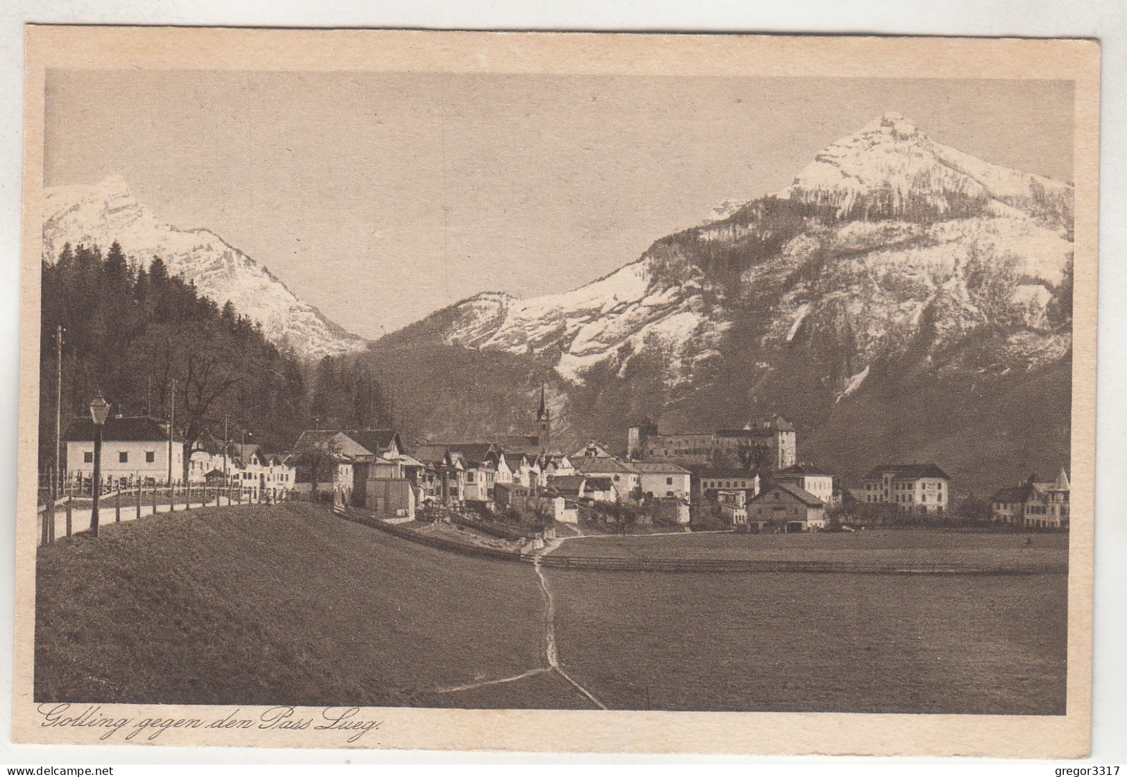 D3245) GOLLING Gegen Den Pass Lueg - Straße Häuser Wiese - Golling