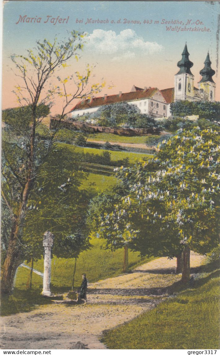 D3251) MARIA TAFERL Bei MARBACH A. D. DONAU - Weg Blühende Bäume Person Vor Steinsäule ALT 1928 - Maria Taferl
