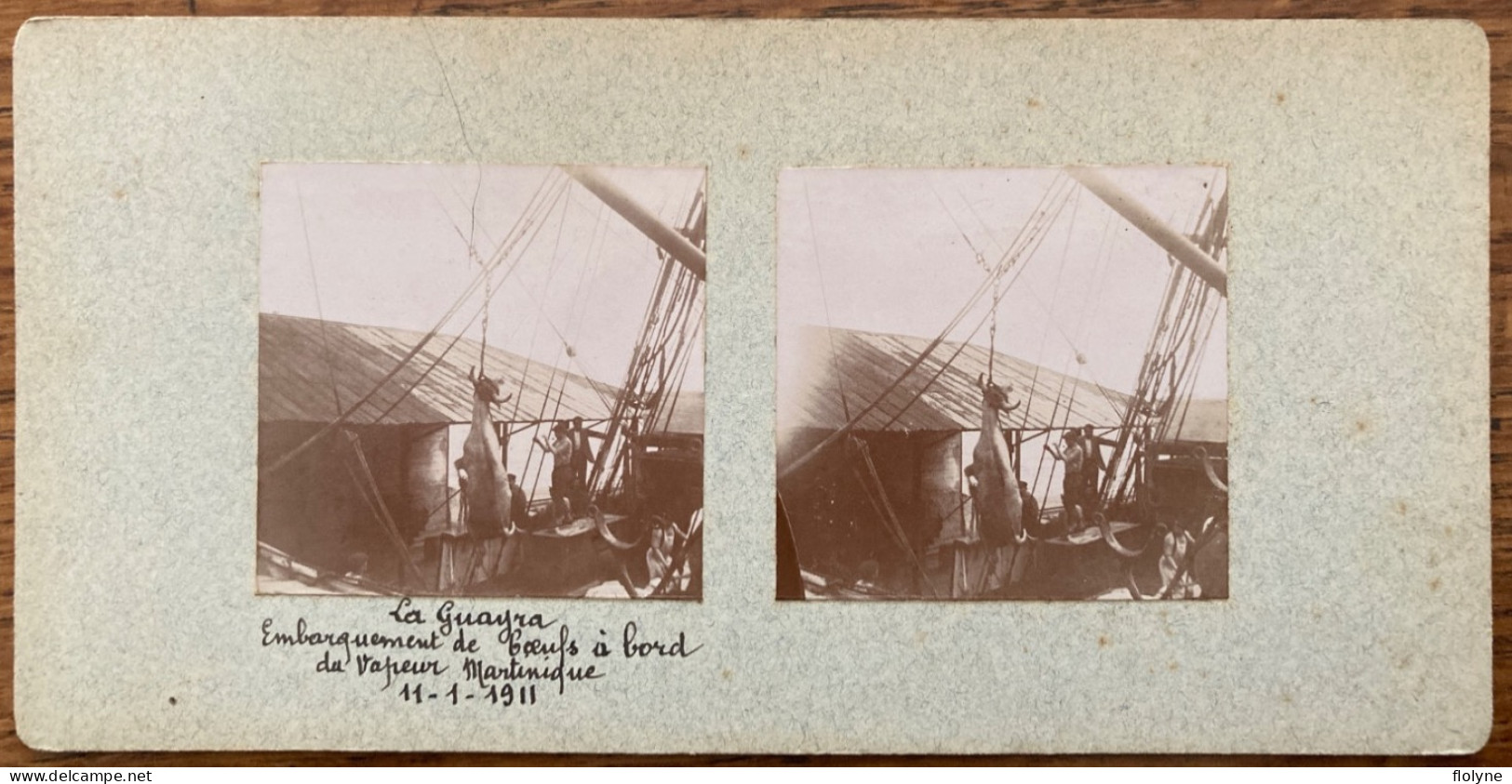 La Guayra Venezuela - Photo Ancienne Stéréo - Embarquement Des Bœufs à Bords Du Bateau Vapeur MARTINIQUE - 1911 - Venezuela
