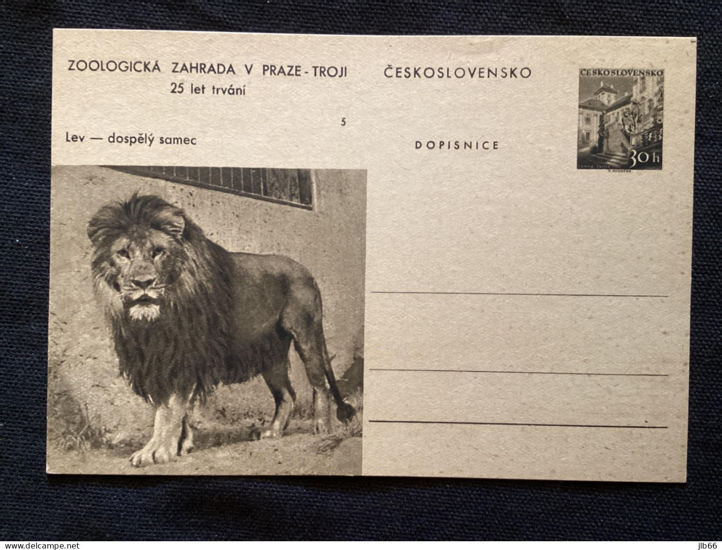 1956 CDV 130 Zoo De Prague ** Lion - Ansichtskarten