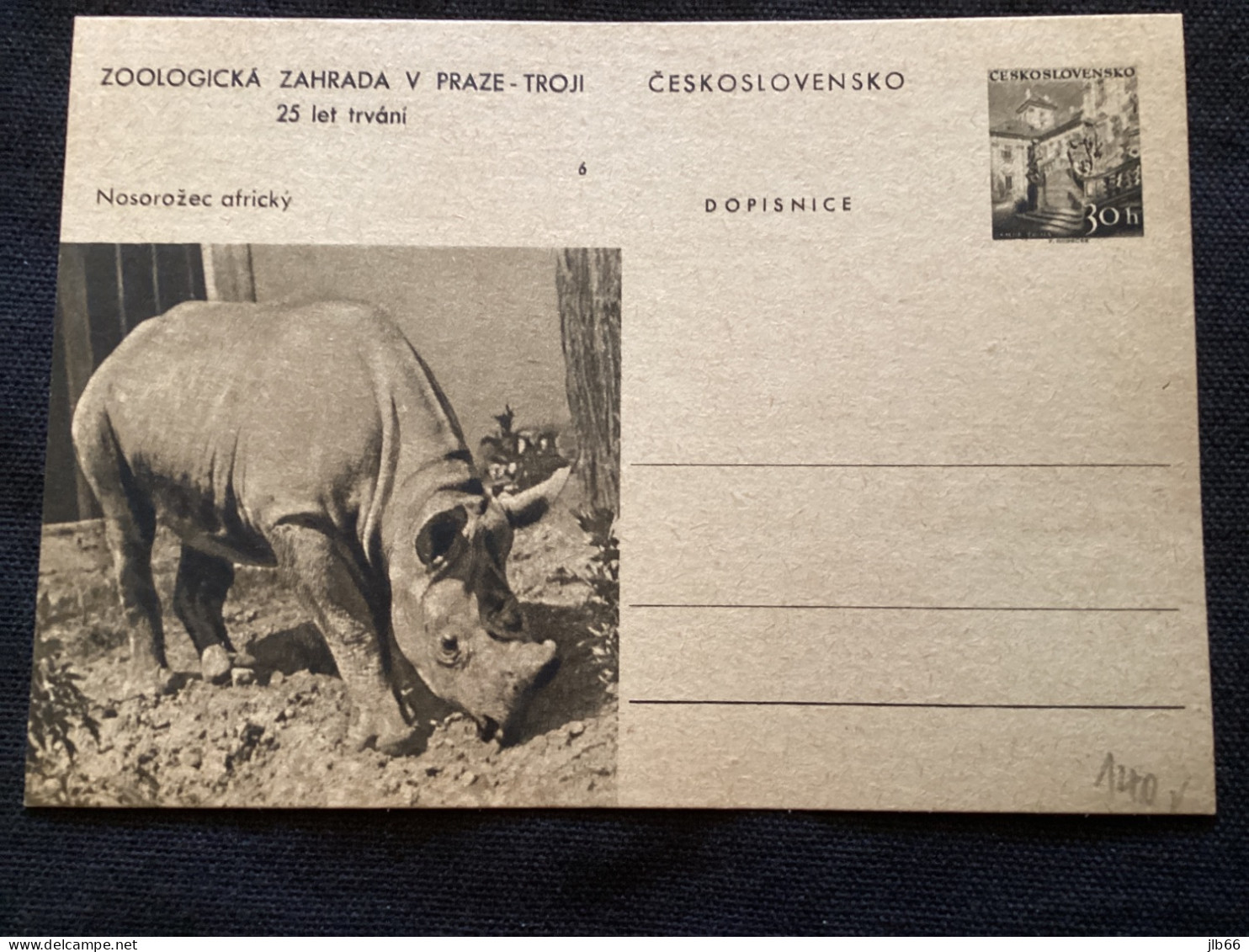 1956 CDV 130 Zoo De Prague ** Rhinocéros - Cartoline Postali