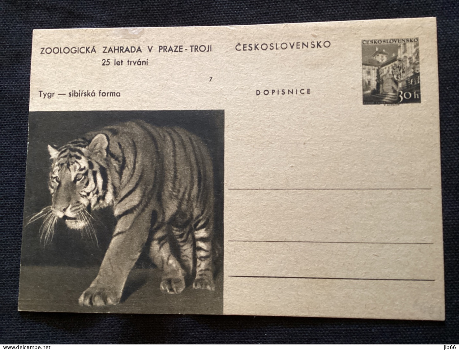 1956 CDV 130 Zoo De Prague ** Tigre - Cartoline Postali