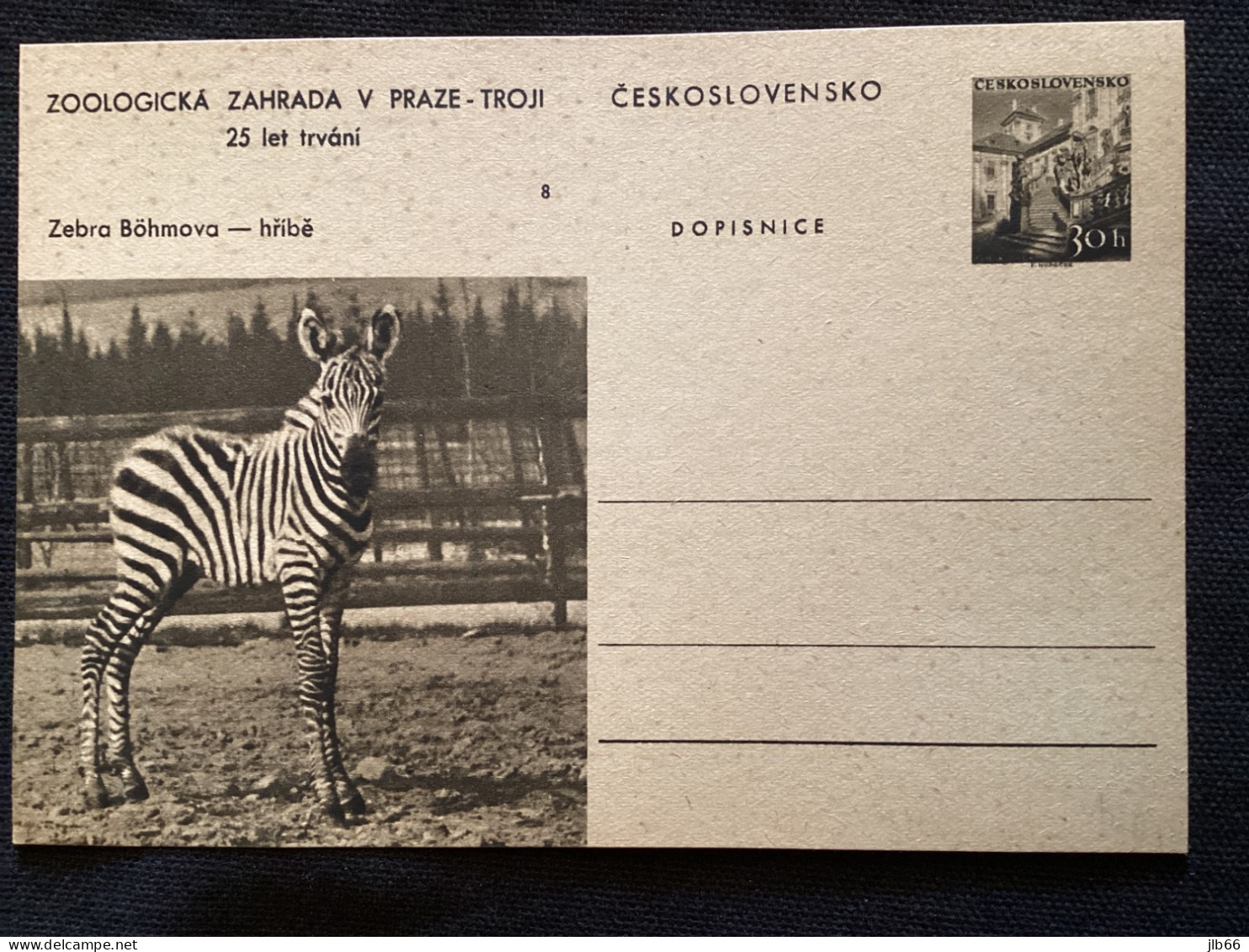 1956 CDV 130 Zoo De Prague ** Zèbre - Cartes Postales