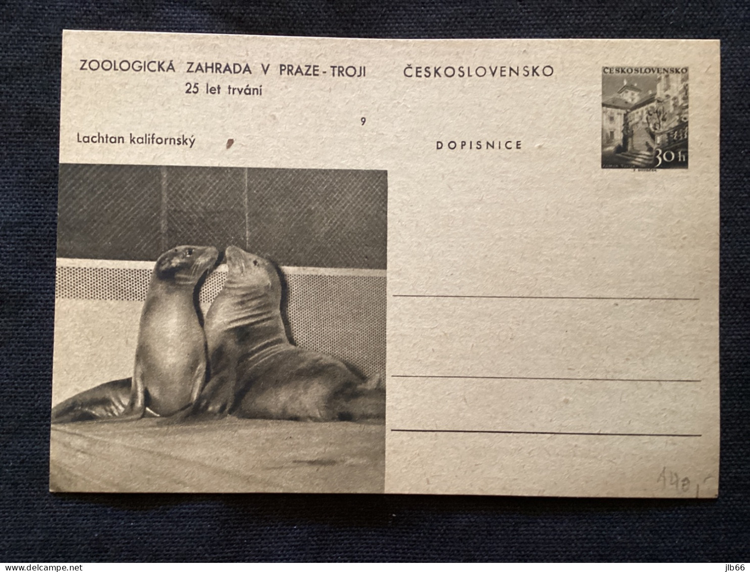 1956 CDV 130 Zoo De Prague ** Otaries De Californie - Postkaarten