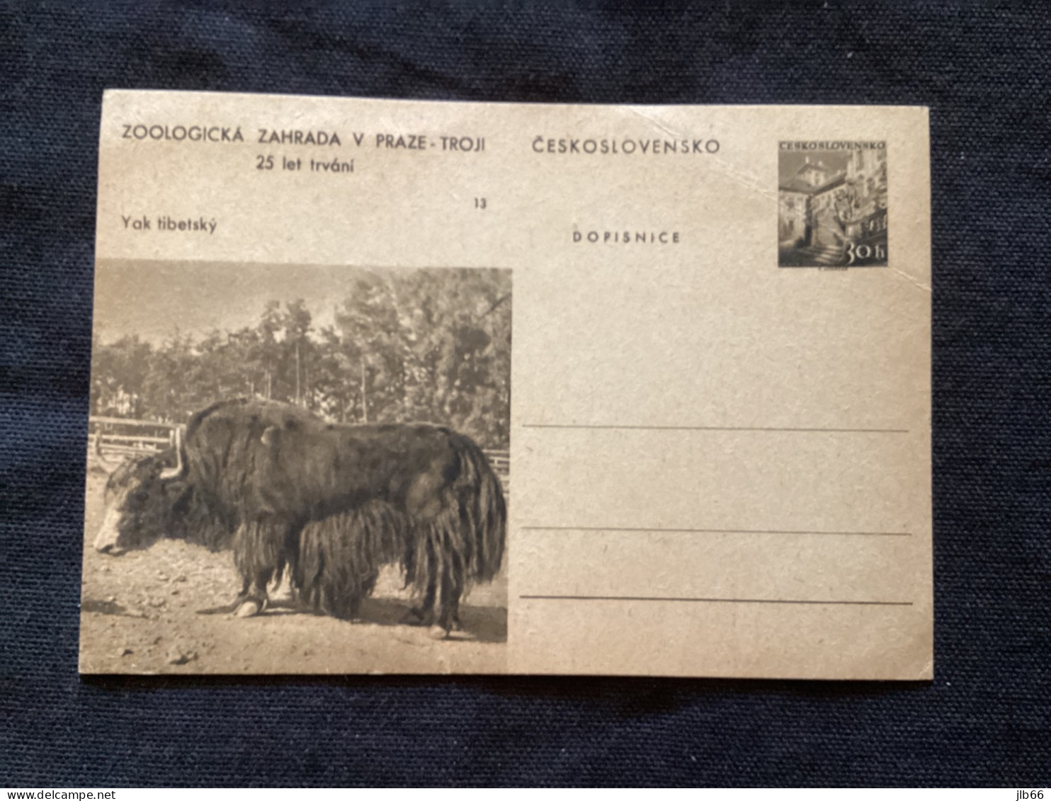 1956 CDV 130 Zoo De Prague ** Yack Du Tibet - Postales
