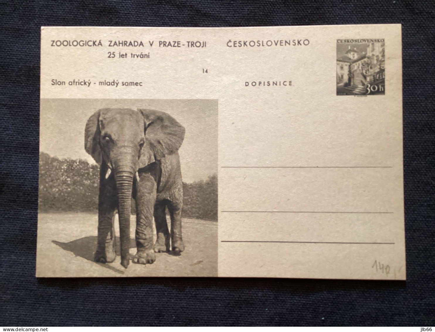 1956 CDV 130 Zoo De Prague ** Éléphant D’Afrique - Ansichtskarten