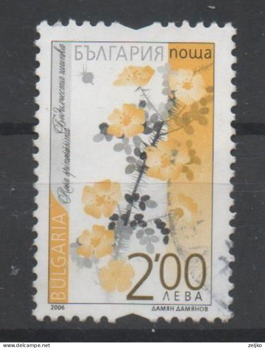 Bulgaria, Used, 2006, Michel 4734, Flora, Rose - Used Stamps